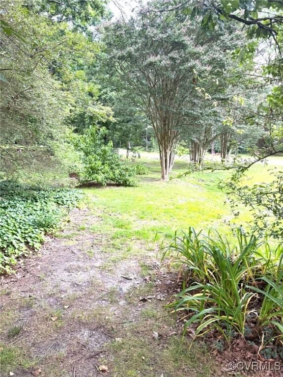 5404 Oak St, North Dinwiddie, VA 23803 - view of yard