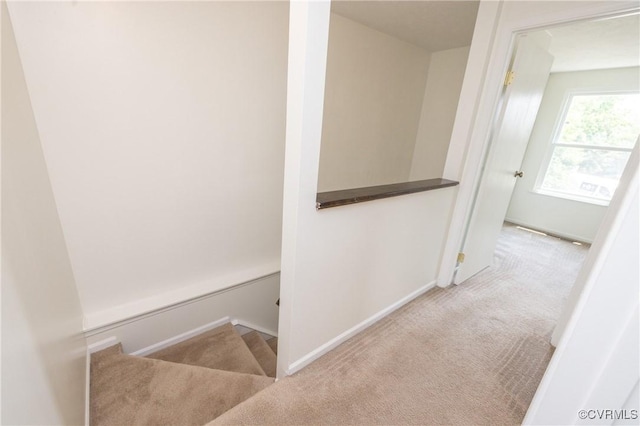8406 Shannon Green Ct, Henrico, VA 23228 - corridor with carpet flooring and baseboards