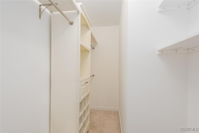 206 Michaux Crossing Ln, Chesterfield, VA 23113 - walk in closet featuring light carpet