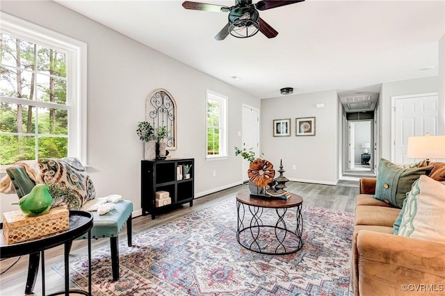 4100 Cralles Rd, Amelia, VA 23002 - living area featuring plenty of natural light, attic access, wood finished floors, and ceiling fan