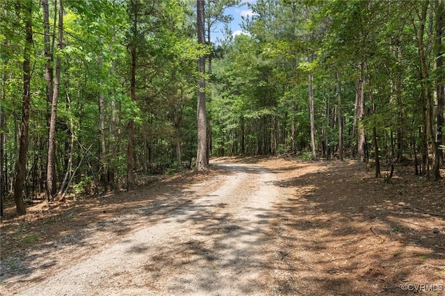 13531 Butlers Rd, Amelia Courthouse, VA 23002 - view of street with a wooded view