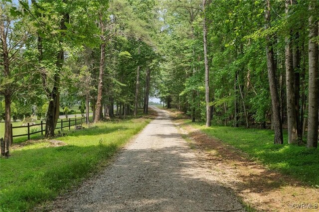 13531 Butlers Rd, Amelia Courthouse, VA 23002 - view of street featuring a forest view
