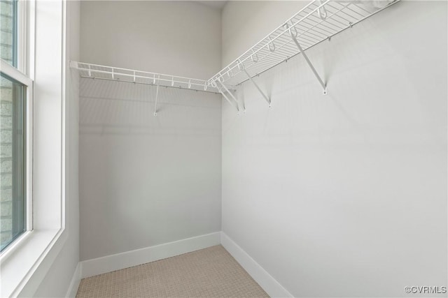 13210 Garland Ln, Midlothian, VA 23114 - walk in closet with carpet floors