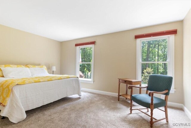 12448 Whisana Ln, Ashland, VA 23005 - photo 26