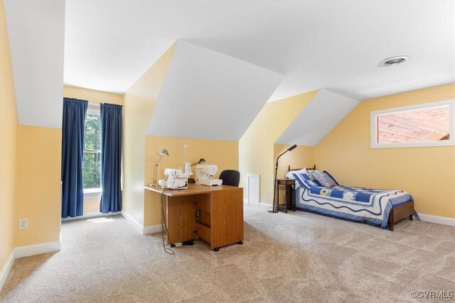 12448 Whisana Ln, Ashland, VA 23005 - photo 31