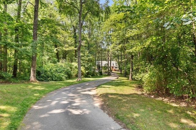 12448 Whisana Ln, Ashland, VA 23005 - photo 2