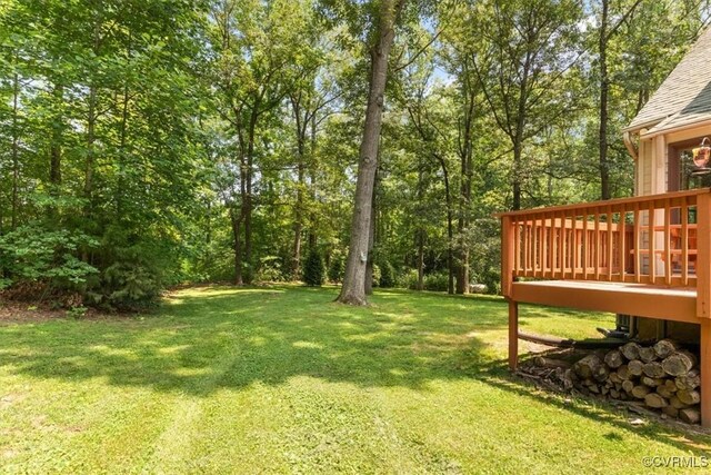 12448 Whisana Ln, Ashland, VA 23005 - photo 38