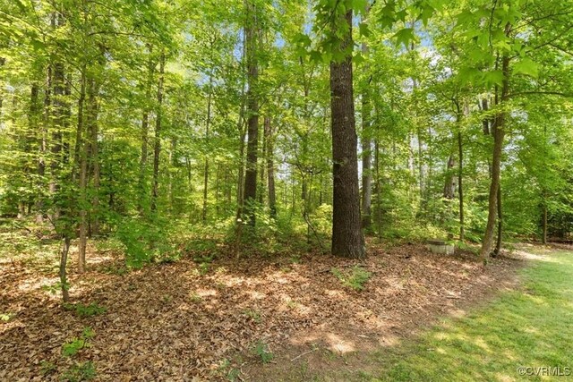 12448 Whisana Ln, Ashland, VA 23005 - photo 40