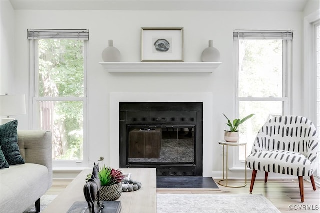 4814 Long Shadow Dr, Chesterfield, VA 23112 - living room with wood finished floors, plenty of natural light, and a fireplace with flush hearth