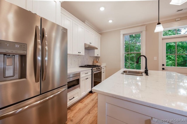 117 Meeting Pl, Williamsburg, VA 23185 - kitchen with appliances with stainless steel finishes, under cabinet range hood, ornamental molding, white cabinets, and light wood-type flooring