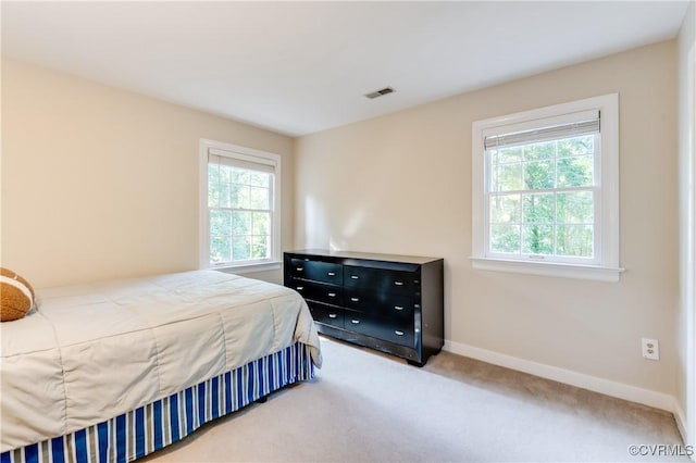 11905 Glen Gary Ct, Henrico, VA 23233 - bedroom with multiple windows and carpet flooring