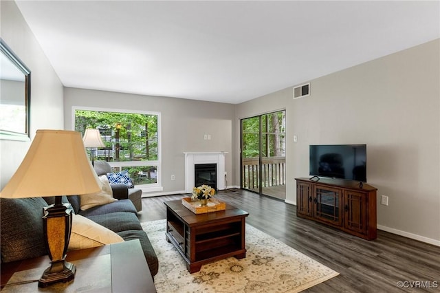 10152 Iron Mill Rd, North Chesterfield, VA 23235 - living area with a glass covered fireplace and wood finished floors
