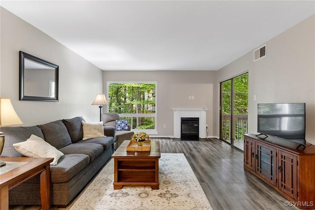 10152 Iron Mill Rd, North Chesterfield, VA 23235 - living room featuring wood finished floors and a glass covered fireplace