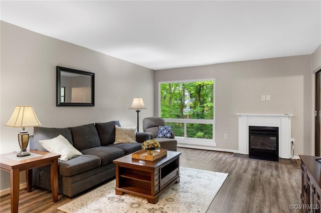 10152 Iron Mill Rd, North Chesterfield, VA 23235 - living area with wood finished floors and a glass covered fireplace