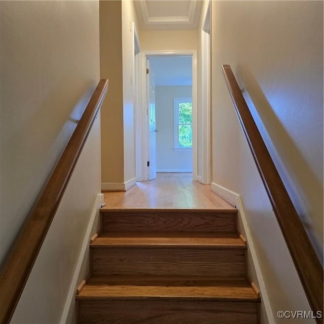 14300 Rosebud Rd, Chesterfield, VA 23838 - stairway featuring wood finished floors and baseboards