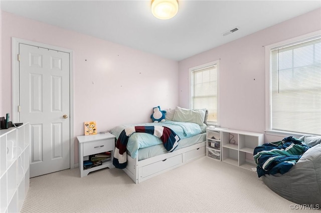 15619 Winding Ash Dr, Chesterfield, VA 23832 - bedroom featuring light carpet