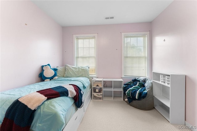 15619 Winding Ash Dr, Chesterfield, VA 23832 - bedroom with carpet flooring