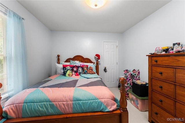 15619 Winding Ash Dr, Chesterfield, VA 23832 - bedroom featuring multiple windows and carpet floors