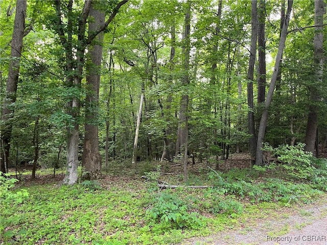 LOT114 Hickory Rd, Lancaster, VA 22503
