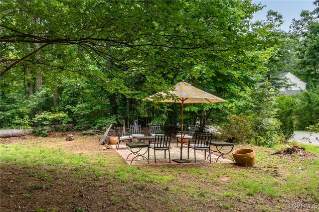 419 Carter Ln, Louisa, VA 23093 - view of yard with a patio area