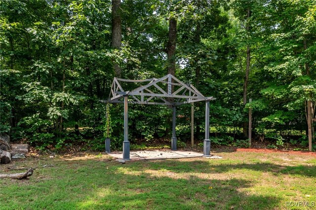 419 Carter Ln, Louisa, VA 23093 - view of green lawn