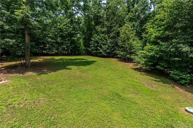 419 Carter Ln, Louisa, VA 23093 - view of grassy yard