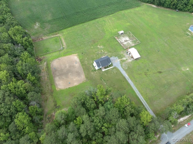 9530 Dabneys Mill Rd, Manquin, VA 23106 - view of rural area