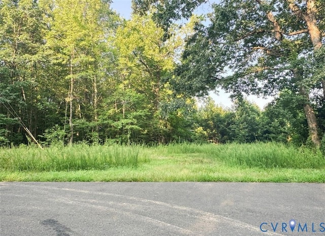 RawLand Nannie Burton, Louisa, VA 23093 - photo 2