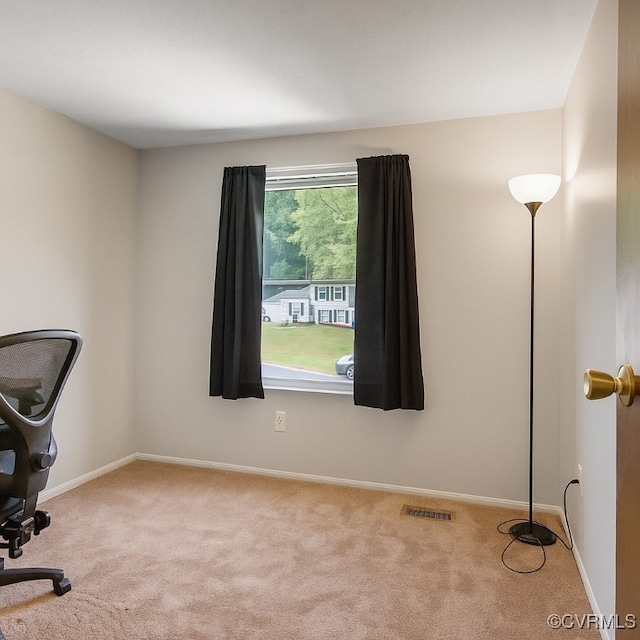 8507 Spruce Pine Dr, North Chesterfield, VA 23235 - photo 22