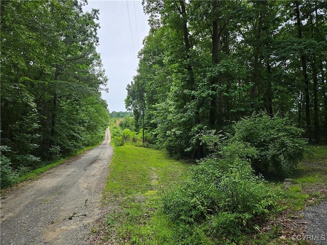 17800 Fraher Ln, Amelia Courthouse, VA 23002 - view of dirt / gravel road with a wooded view