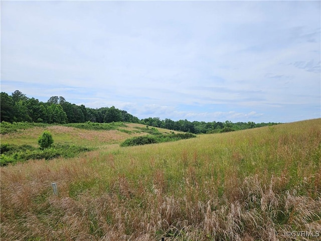17800 Fraher Ln, Amelia Courthouse, VA 23002 - view of nature featuring rural landscape