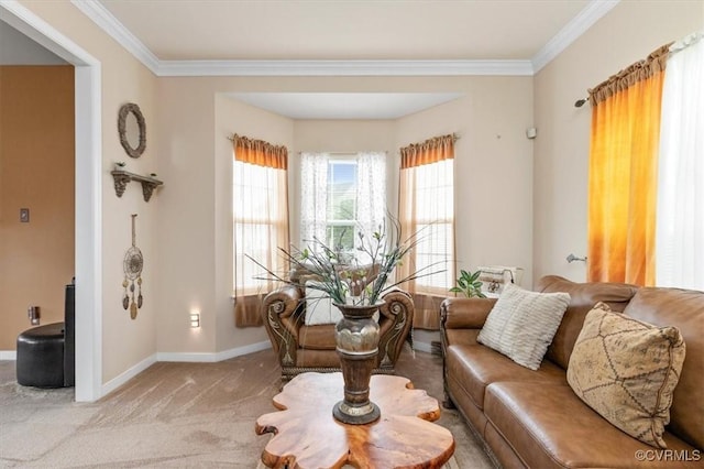 1408 Windrow Ct, Henrico, VA 23223 - living room featuring carpet and ornamental molding