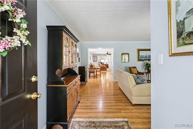 3826 Minitree Glen Dr, Providence Forge, VA 23140 - foyer featuring light wood finished floors, a textured ceiling, a ceiling fan, and ornamental molding