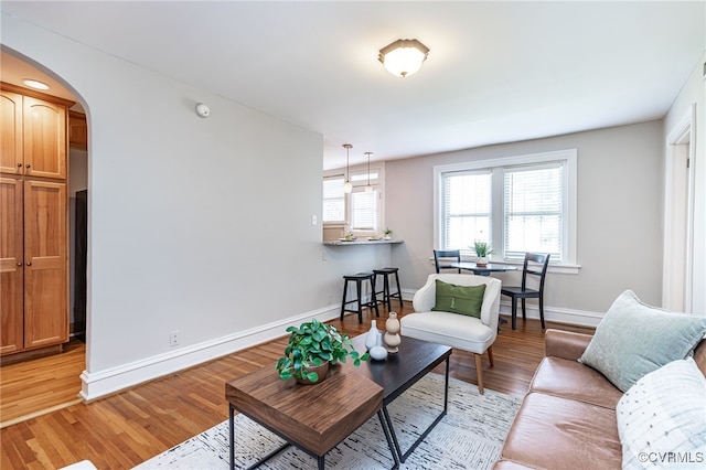 1112 Roseneath Rd Unit U1, Richmond, VA 23230 - living room with arched walkways and light wood-style flooring