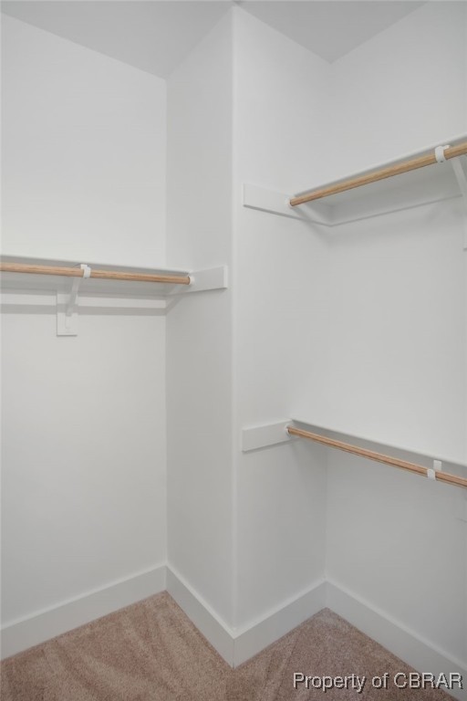 TBD Snows Cove Ln, Lottsburg, VA 22511 - walk in closet with carpet floors