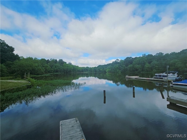 425 Palomino Dr, Louisa, VA 23093 - dock area featuring a forest view and a water view