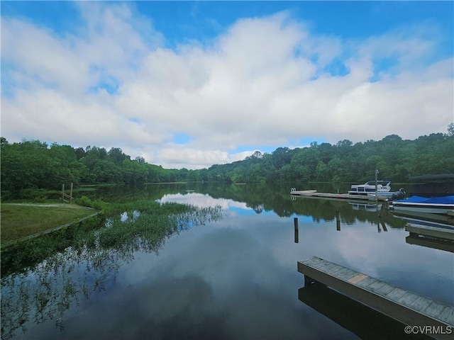 425 Palomino Dr, Louisa, VA 23093 - water view with a heavily wooded area and a boat dock