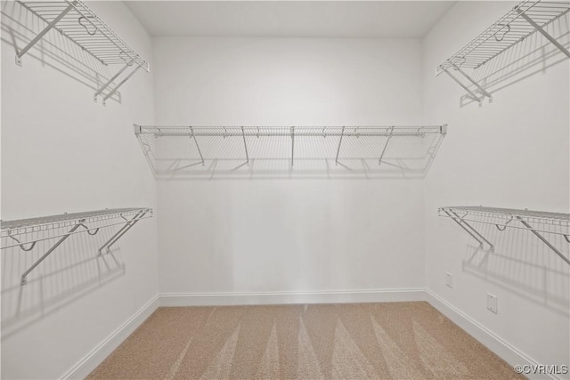 7204 Leire Ln, Moseley, VA 23832 - spacious closet featuring light carpet