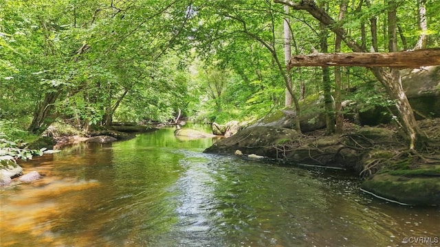 4804 Hackney Rd, Richmond, VA 23234 - water view with a heavily wooded area