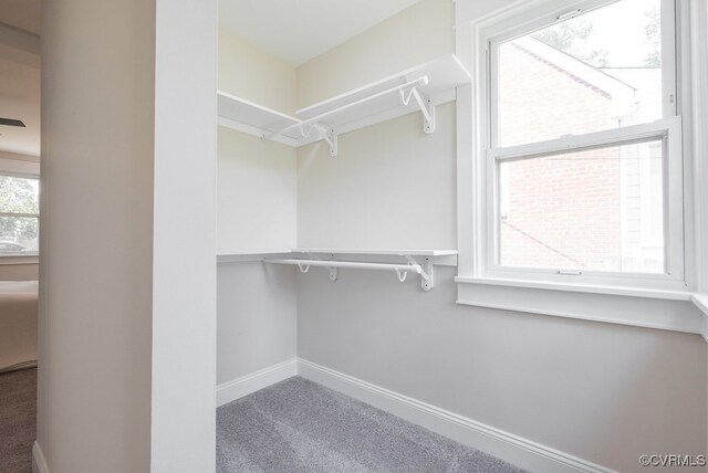 4806 Cutshaw Ave, Richmond, VA 23230 - walk in closet featuring carpet flooring