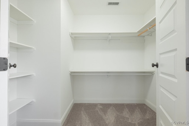 4806 Cutshaw Ave, Richmond, VA 23230 - walk in closet featuring carpet flooring
