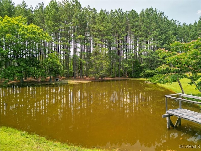 967 Ampthill Rd, Cartersville, VA 23027 - water view