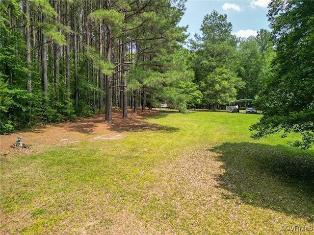 967 Ampthill Rd, Cartersville, VA 23027 - view of green lawn