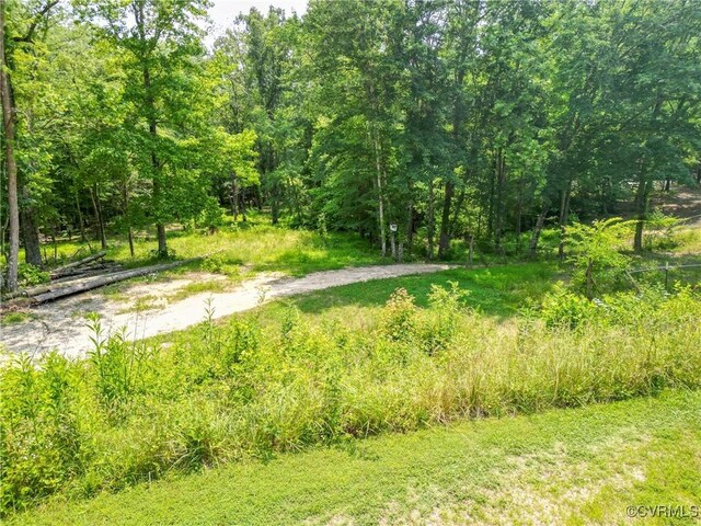 967 Ampthill Rd, Cartersville, VA 23027 - view of yard featuring a forest view