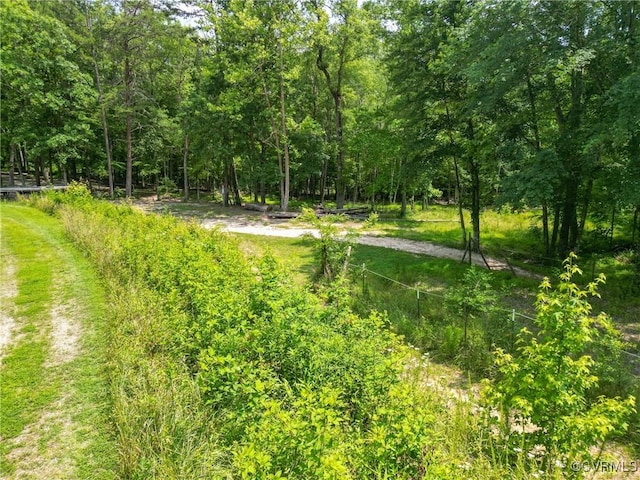 967 Ampthill Rd, Cartersville, VA 23027 - view of woods