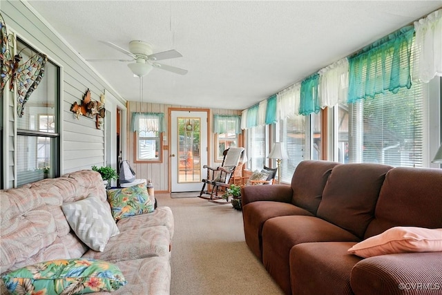 967 Ampthill Rd, Cartersville, VA 23027 - sunroom with carpet floors