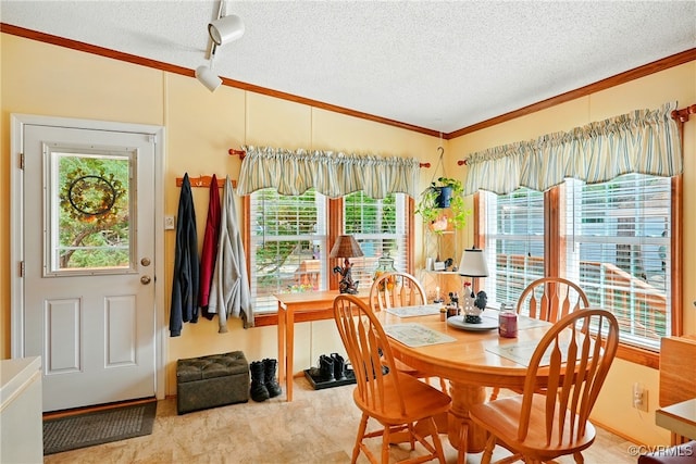 967 Ampthill Rd, Cartersville, VA 23027 - dining room with ornamental molding, a textured ceiling, and plenty of natural light