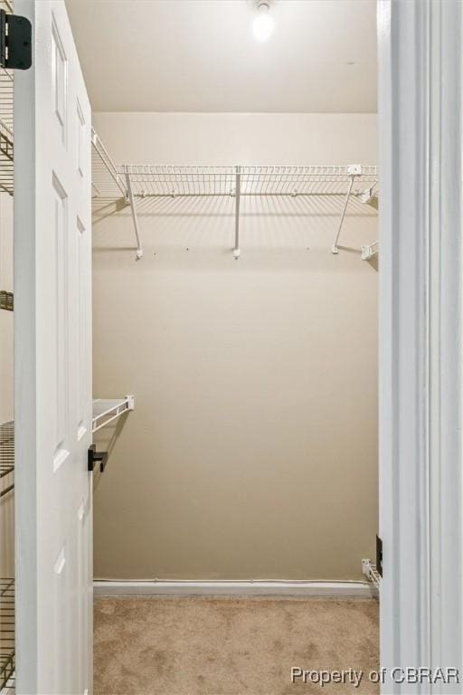 5 Hadley Pl, Newport News, VA 23608 - spacious closet featuring carpet flooring