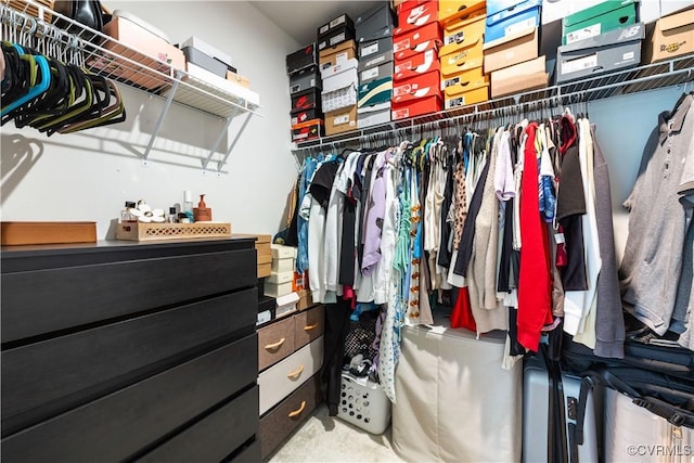 1931 Kennington Park Rd, King William, VA 23009 - view of spacious closet