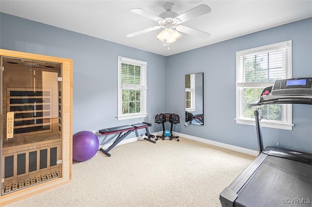 12829 Huntmaster Ln, Henrico, VA 23233 - workout room with a relaxing sauna, plenty of natural light, carpet, and a ceiling fan